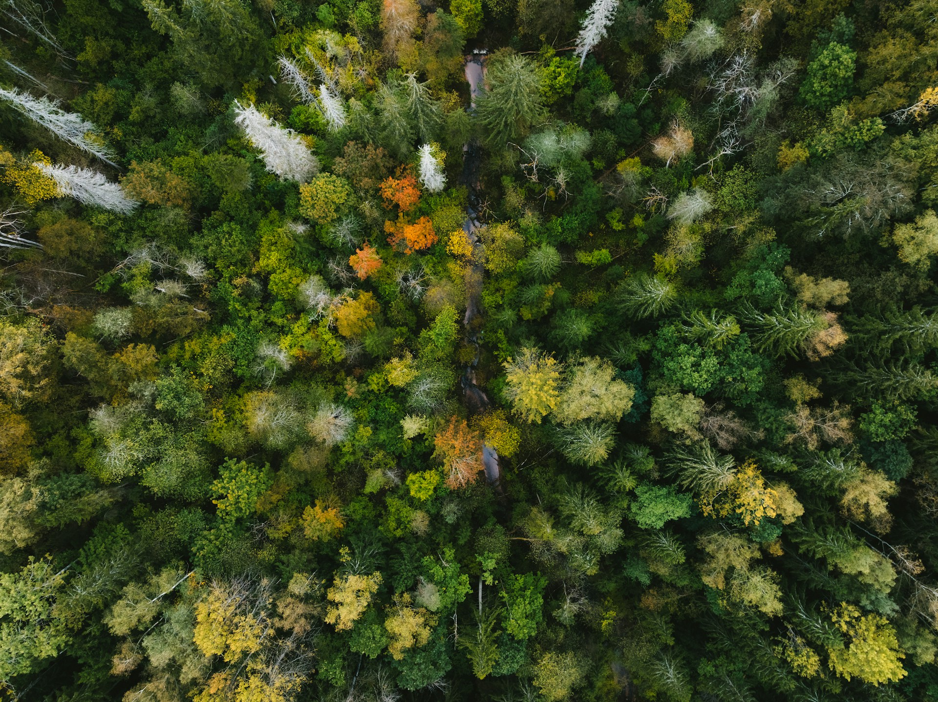Nature photography